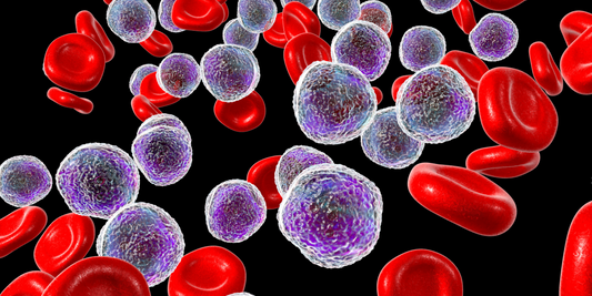 Unlocking Your Immune Function Through Fasting